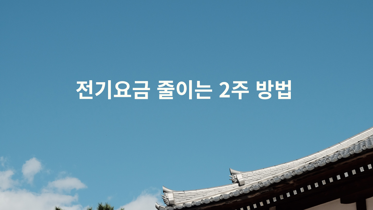 전기요금 줄이는 2주 방법